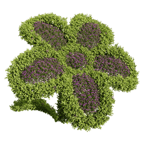 修剪成花朵形状的开满紫色小花的百可花植物景观 园林景观3D模型（OBJ,FBX,MAX）