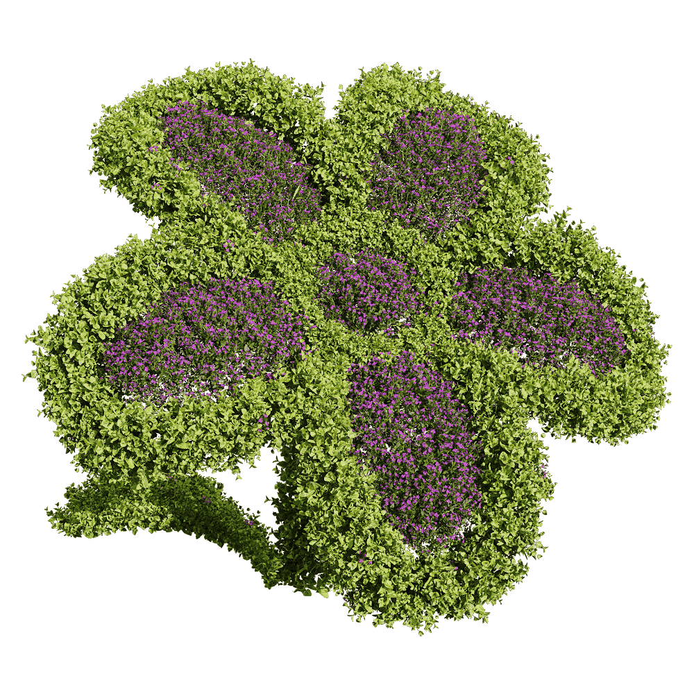 修剪成花朵形状的开满紫色小花的百可花植物景观 园林景观3D模型（OBJ,FBX,MAX）插图