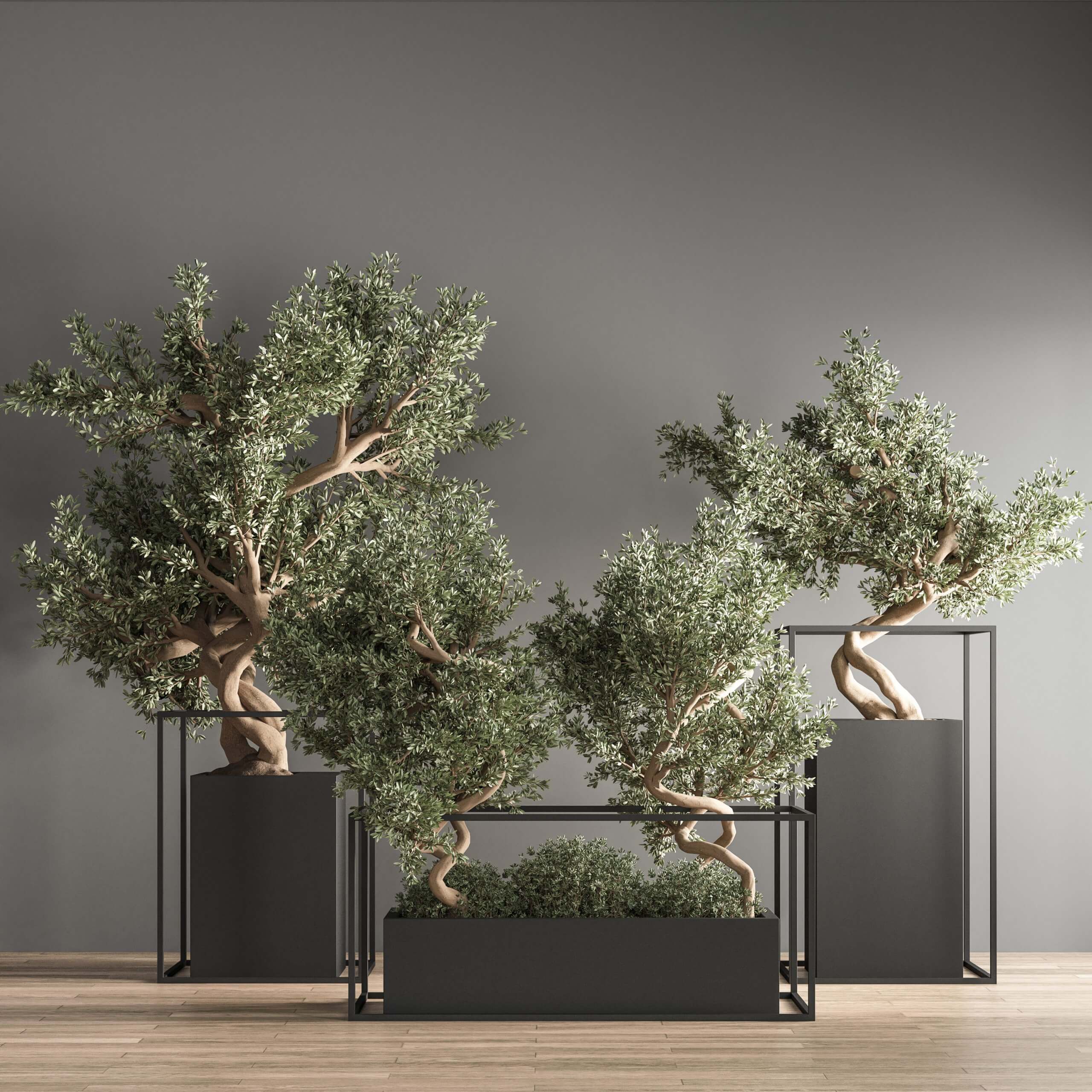 装饰花盆中的景观树 绿植盆景组合3D模型（OBJ,MAX）插图