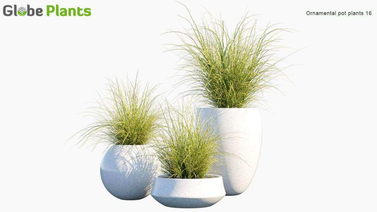 优质的小型绿植植物3D模型大合集（FBX，MAX 1.64GB）插图6