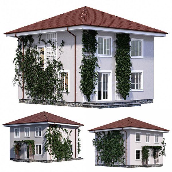 带爬藤绿植的两层住宅 楼房3D模型（MAX）