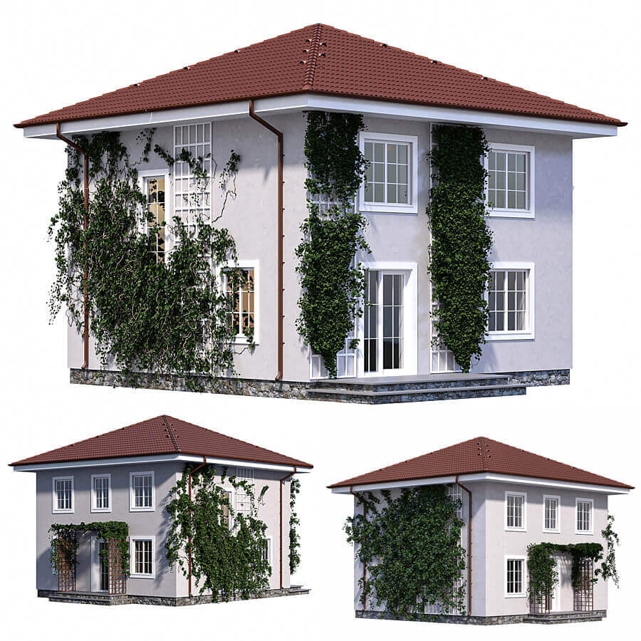 带爬藤绿植的两层住宅 楼房3D模型（MAX）插图