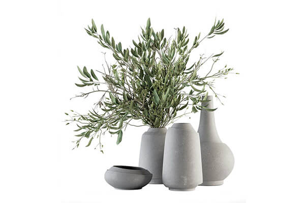 装饰花瓶中的绿叶树枝3D模型（MAX）