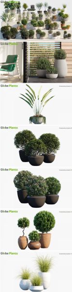 优质的小型绿植植物3D模型大合集（FBX，MAX 1.64GB）