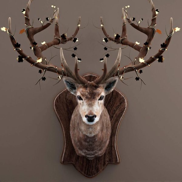 圣诞节鹿角鹿墙壁装饰品3D模型（OBJ,FBX,MAX）
