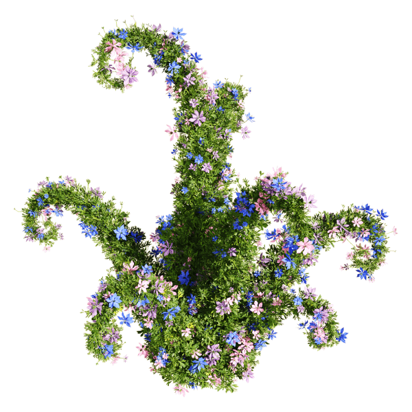 开花的黑种草植物景观3D模型（OBJ,FBX,MAX）