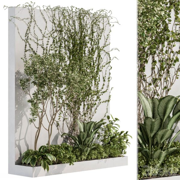 墙壁上的爬藤植物和蕨类植物3D模型（OBJ,MAX）