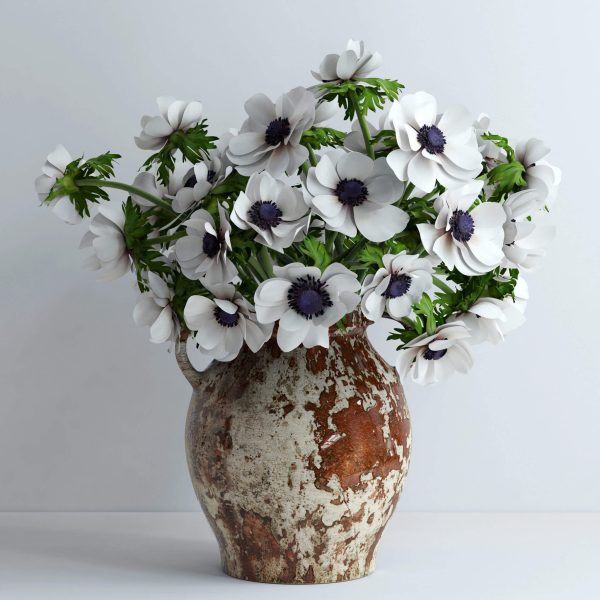 陶瓷花瓶中的白色海葵花束 银莲花束3D模型（OBJ,MAX）