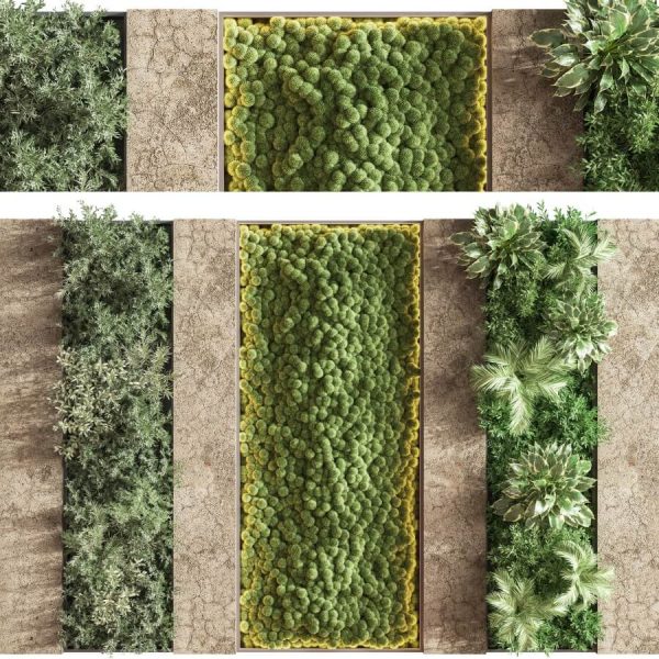 蕨类植物 苔藓植物绿植墙3D模型（OBJ,MAX）