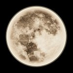 Cosmos Moon月亮壁灯3D模型（FBX,MAX）