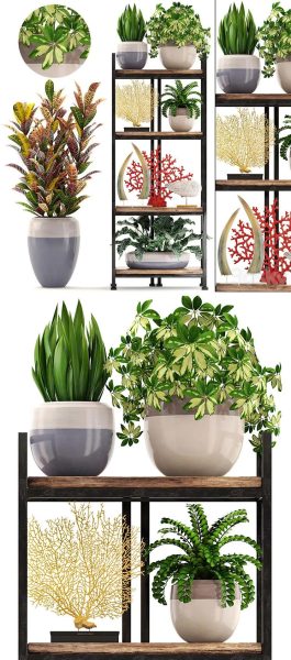 绿植植物花瓶装饰套件3D模型（max,fbx）
