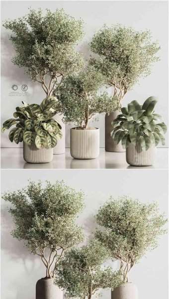 优雅时尚高端简约风格的室内植物套装3D模型-MAX | FBX | OBJ