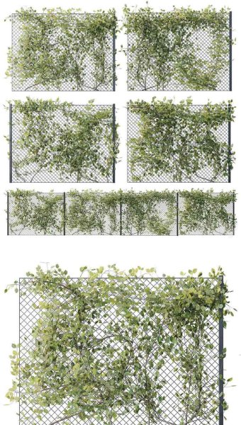 栅栏上的常春藤植物3D模型-MAX | FBX | OBJ