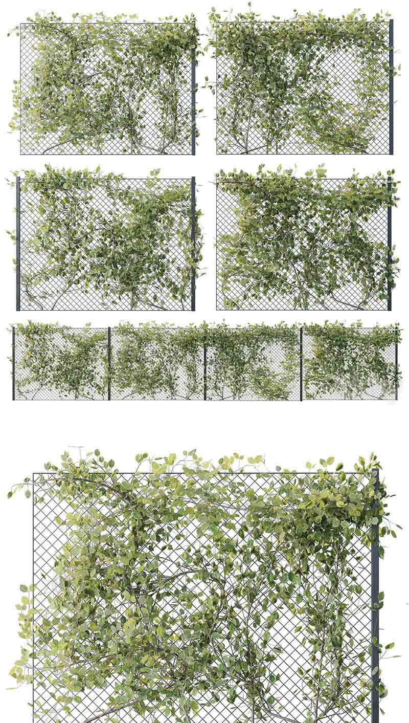 栅栏上的常春藤植物3D模型-MAX | FBX | OBJ插图