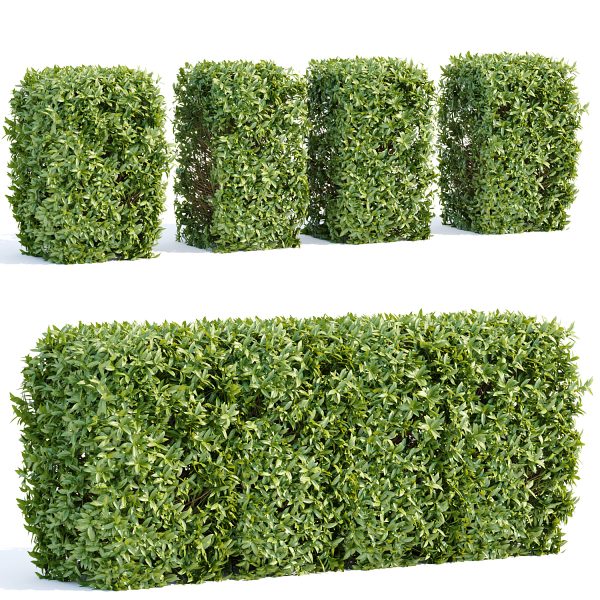 绿植树篱3D模型（OBJ,MAX）