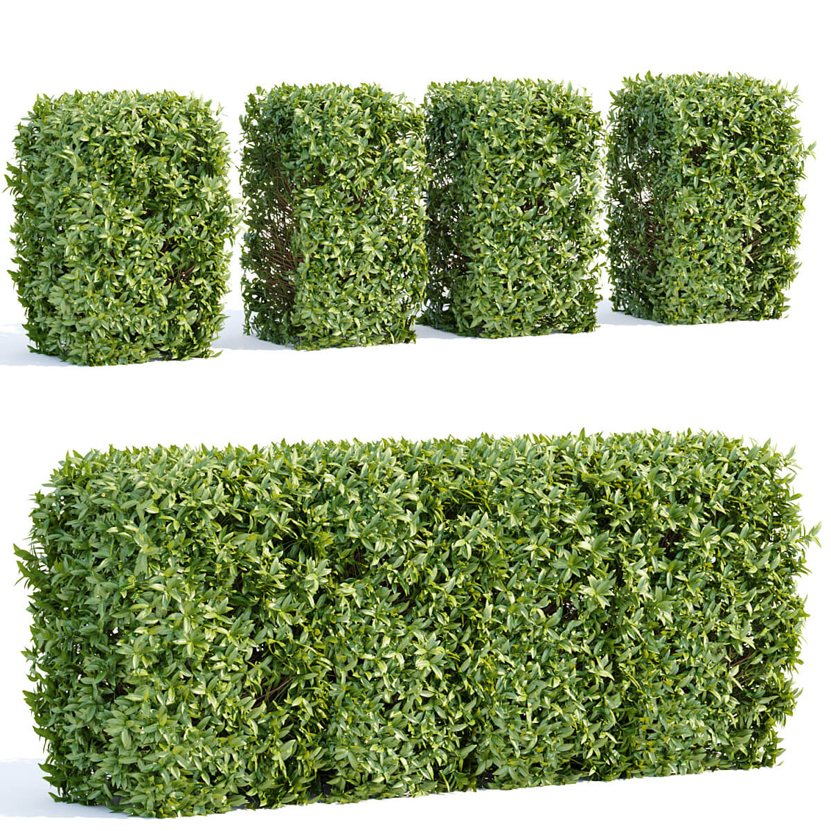 绿植树篱3D模型（OBJ,MAX）插图