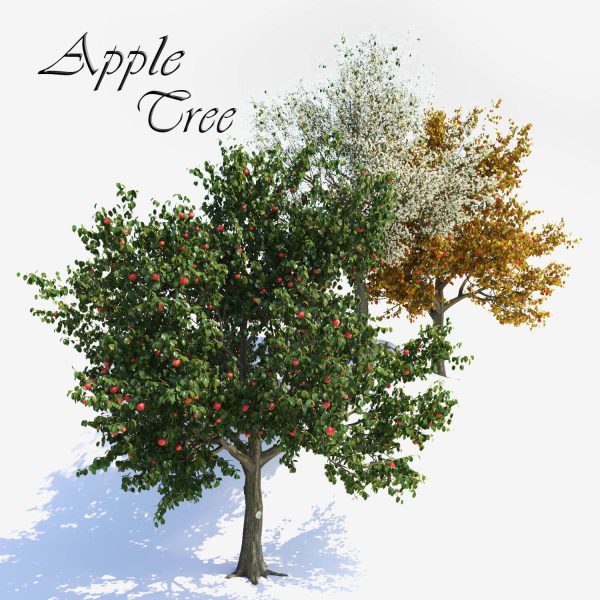 3种不同形态的苹果树3D模型（OBJ,MAX）