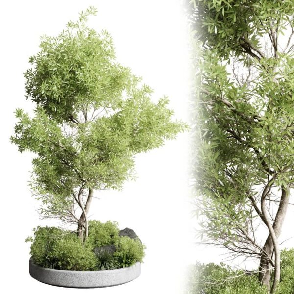 户外圆形石坛中的绿树盆景3D模型（OBJ,MAX）