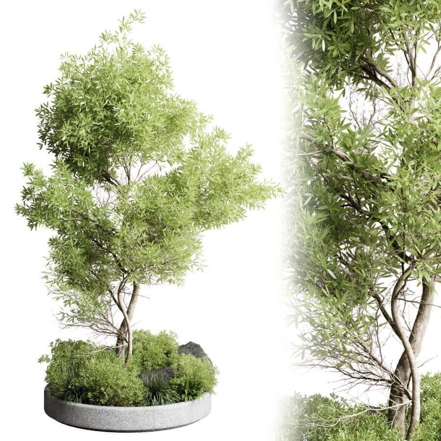 户外圆形石坛中的绿树盆景3D模型（OBJ,MAX）插图