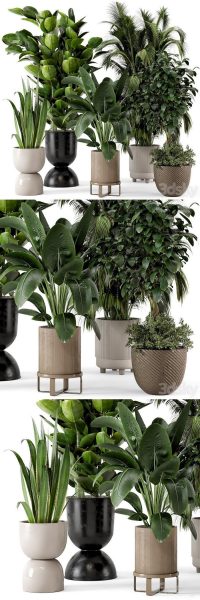 Ferm Living Bau 盆栽室内植物绿植3D模型-MAX | FBX | OBJ