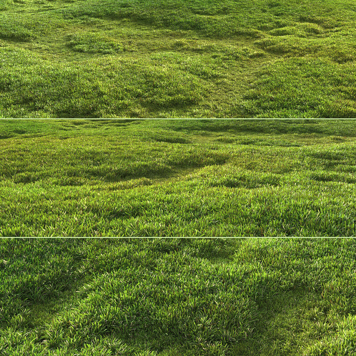 茂盛的绿草地3D模型（FBX,MAX）插图
