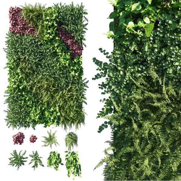 包含竹芋蕨类植物常春藤的绿植墙3D模型（OBJ,MAX）