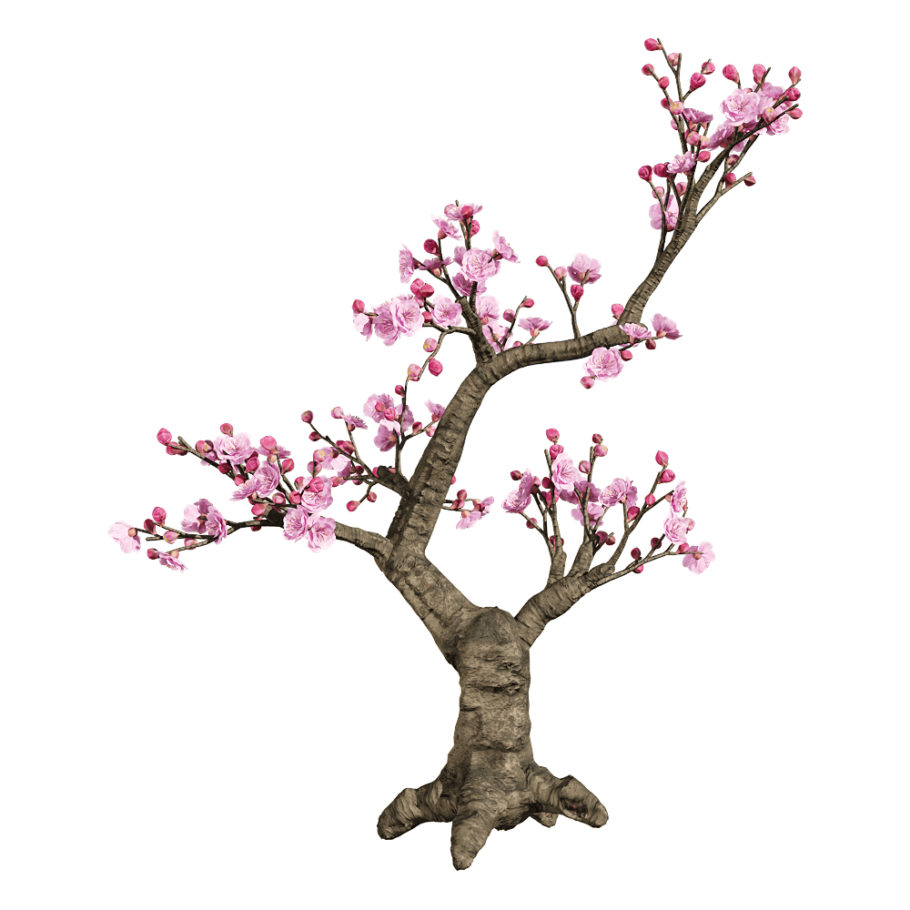 少见的梅花树木3D模型（OBJ,FBX,MAX）插图