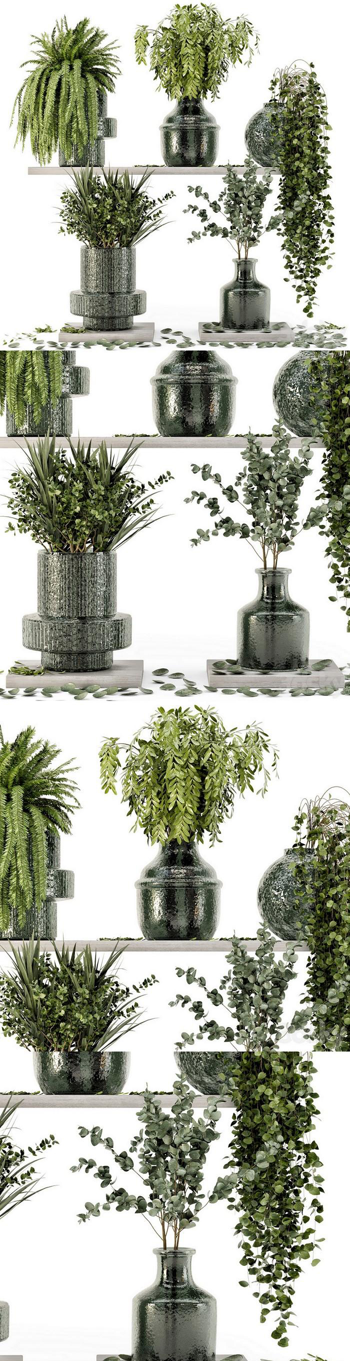 高品质的玻璃花瓶室内植物系列3D模型大集合（MAX | FBX | OBJ | TEX）插图