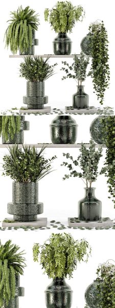 高品质的玻璃花瓶室内植物系列3D模型大集合（MAX | FBX | OBJ | TEX）