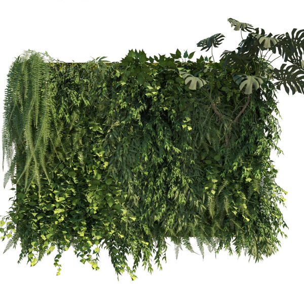 高品质的竹芋蕨类植物的爬山虎绿植墙植物景观3D模型（OBJ,MAX）