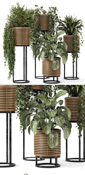 金属底座天然藤盆中的室内植物3D模型（MAX、FBX）
