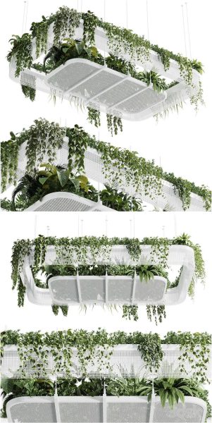 时尚高端清新悬挂植物3D模型-MAX | FBX | OBJ