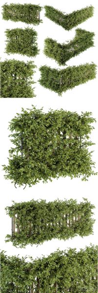 带常春藤植物的户外木栅栏3D模型-MAX | FBX | OBJ