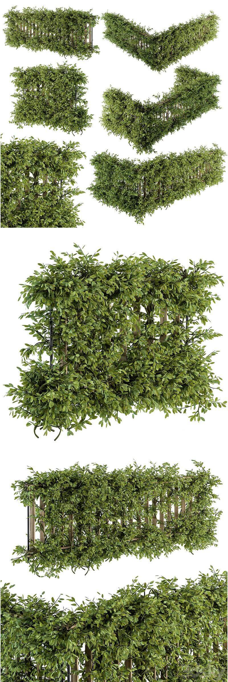 带常春藤植物的户外木栅栏3D模型-MAX | FBX | OBJ插图
