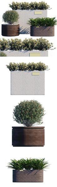 高品质的时尚优雅高端户外植物景观3D模型-MAX | FBX | OBJ