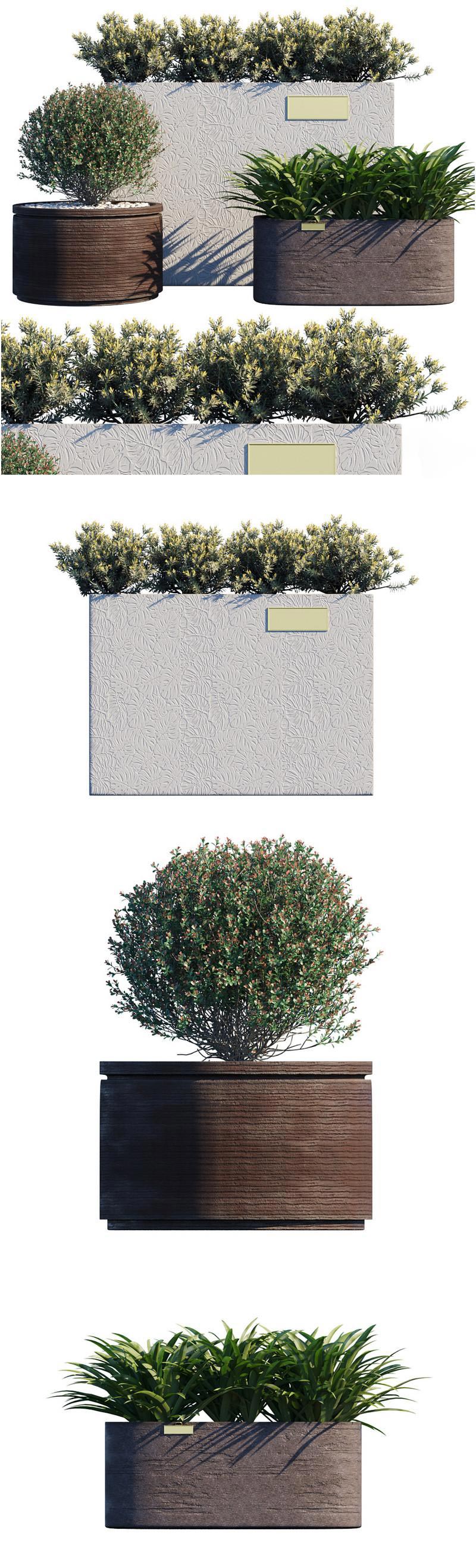 高品质的时尚优雅高端户外植物景观3D模型-MAX | FBX | OBJ插图