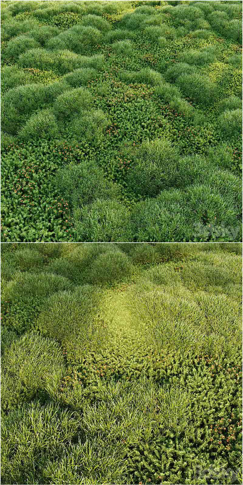 盛开的苔藓草坪植被3D模型-MAX | FBX | OBJ插图