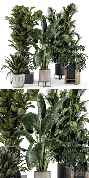 Ferm Living Bau Pot大号室内植物套装 3D模型-MAX | FBX | OBJ