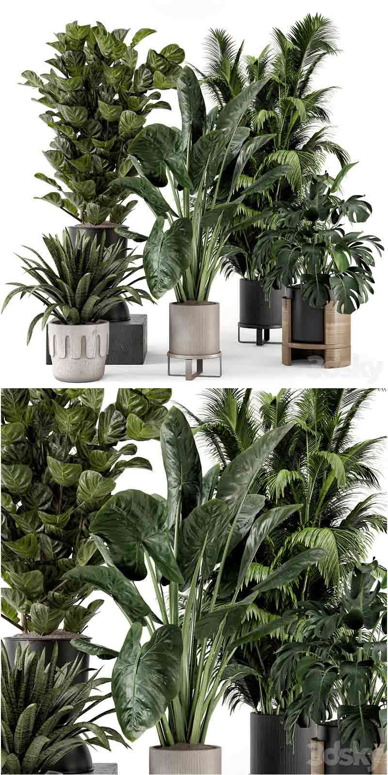 Ferm Living Bau Pot大号室内植物套装 3D模型-MAX | FBX | OBJ插图