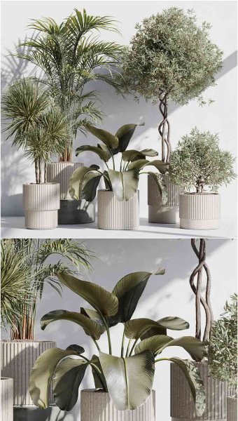 室内植物套装3D模型-MAX | FBX | OBJ