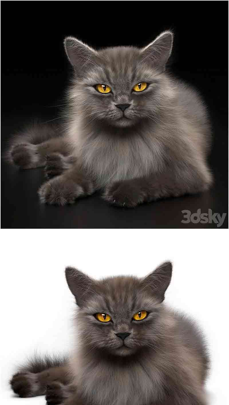 少见稀有的猫咪CAT 4 VRay 3D模型—MAX | FBX插图