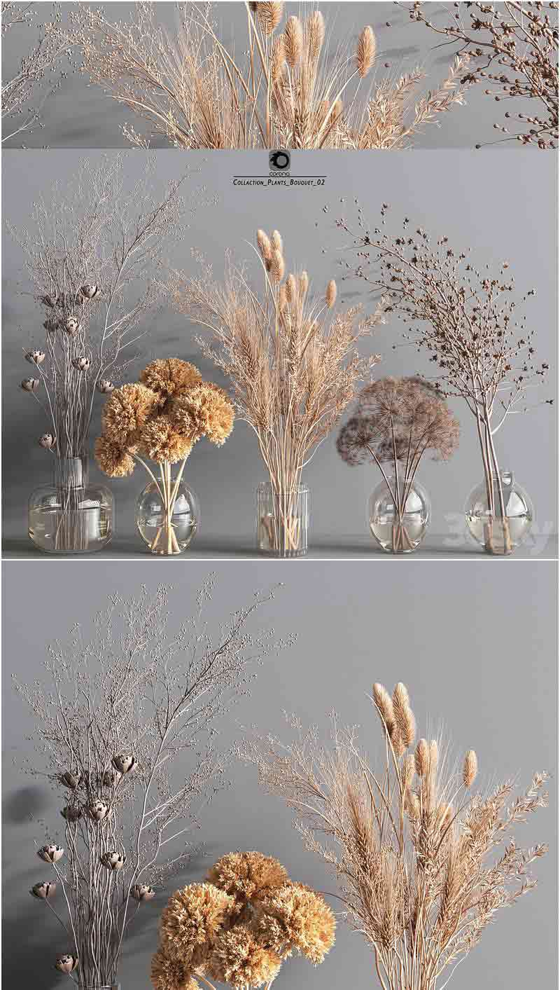 时尚优雅收集植物花束3D模型大集合—MAX | FBX | OBJ插图