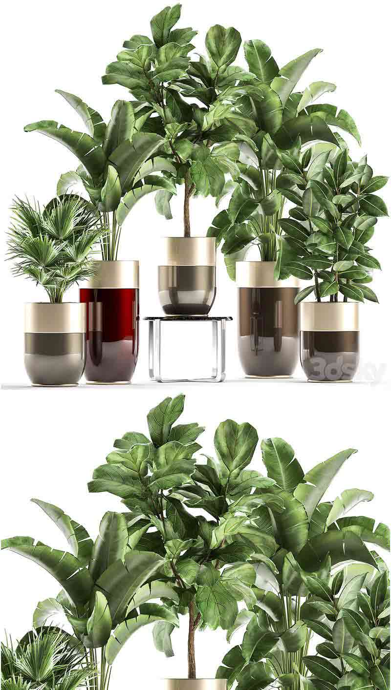 豪华金盆中的植物配有香蕉棕榈榕树豪华装饰套装3D模型—MAX | FBX | OBJ插图