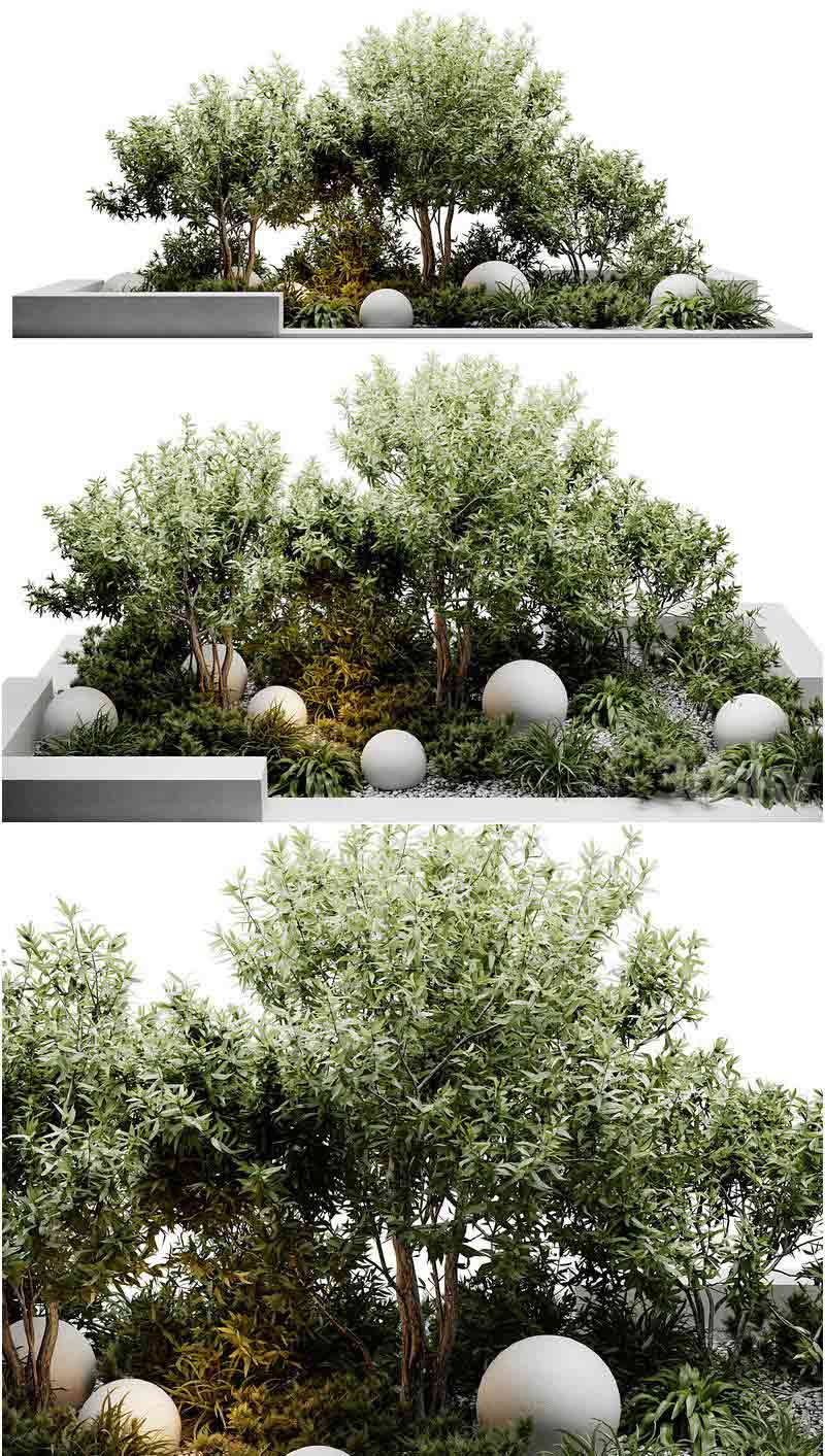 时尚高端优雅的户外植物3D模型—MAX | FBX | OBJ插图