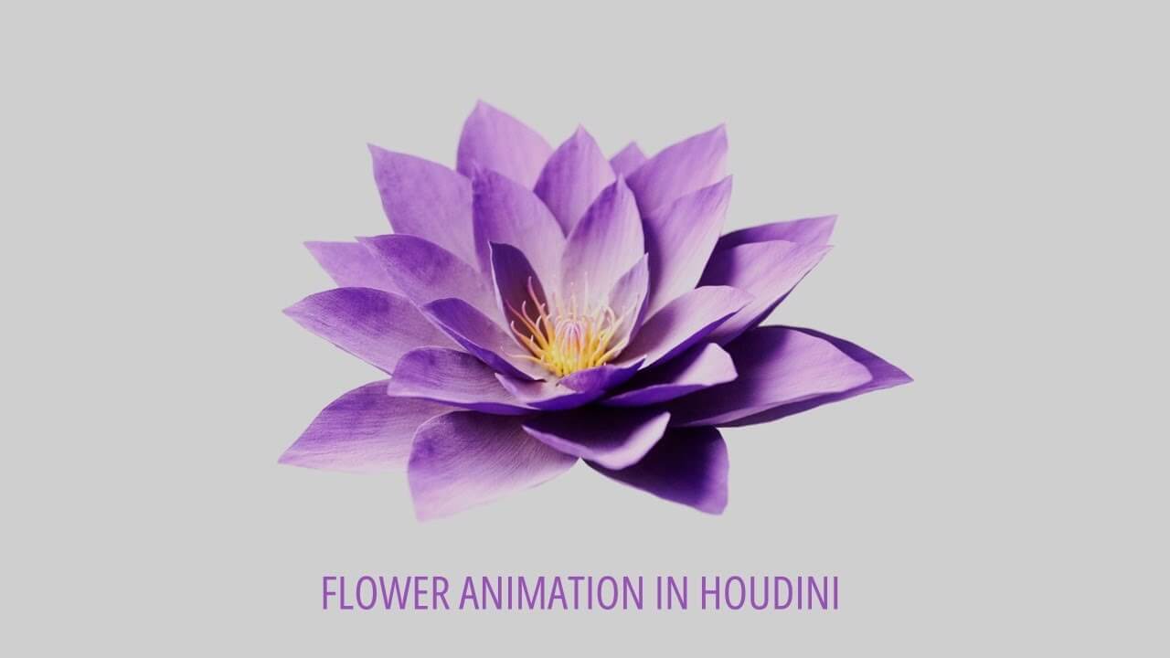 Houdini鲜花模型绽放动画教程三部曲（包含项目文件免费下载）| 中文字幕插图