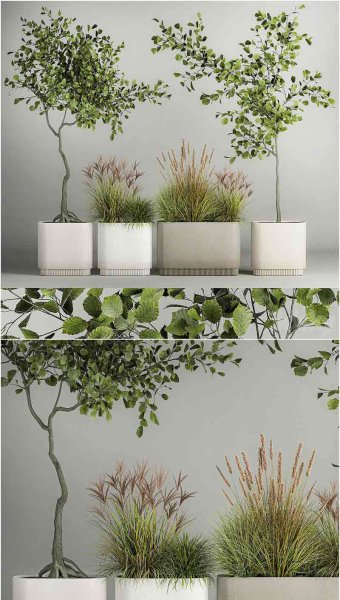 一组用于街道和室内的树木植物带有灌木丛的花盆盆栽草丛3D模型—MAX | FBX | OBJ