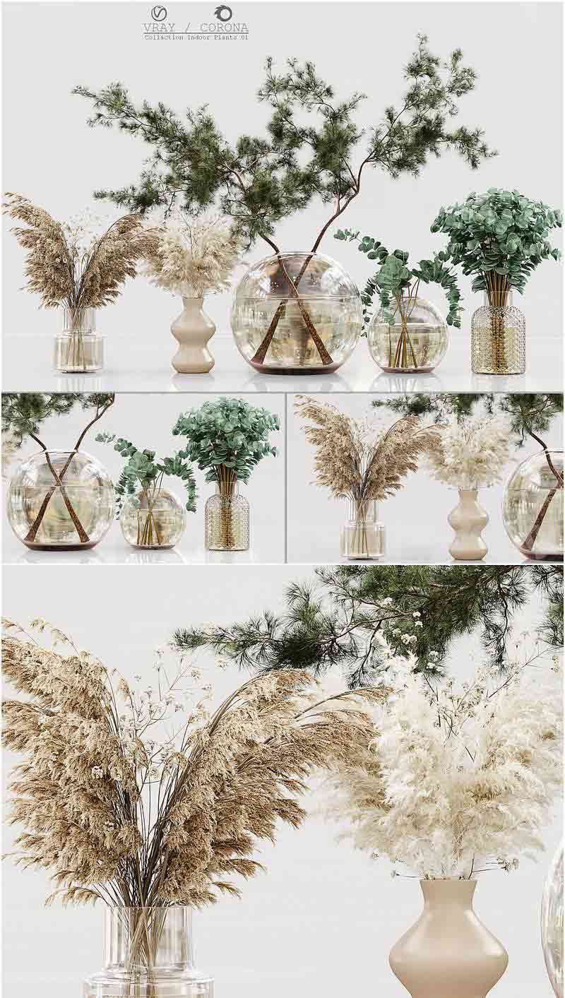 时尚高端优雅的室内植物系列3D模型大集合—MAX | FBX | OBJ插图
