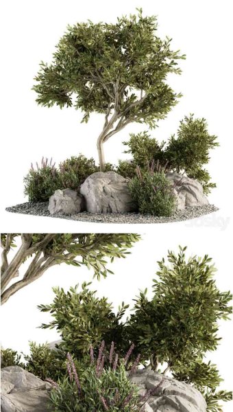 花园套装树木和灌木花园套装3D模型大集合—MAX | FBX | OBJ