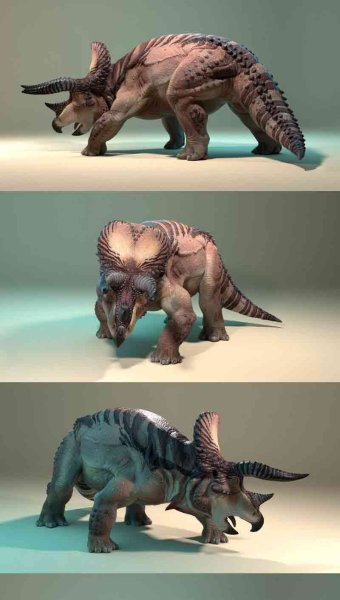 少见稀有的三角龙恐龙3D模型—MAX | FBX | OBJ