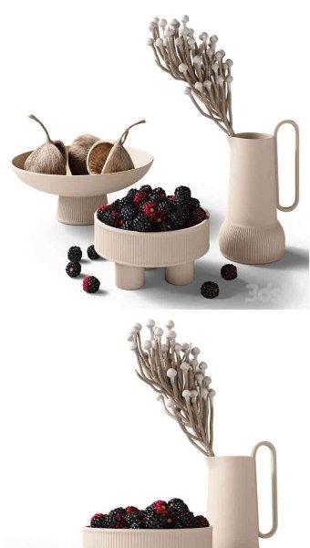 黑莓桑葚装饰品3D模型集合—MAX | FBX | OBJ